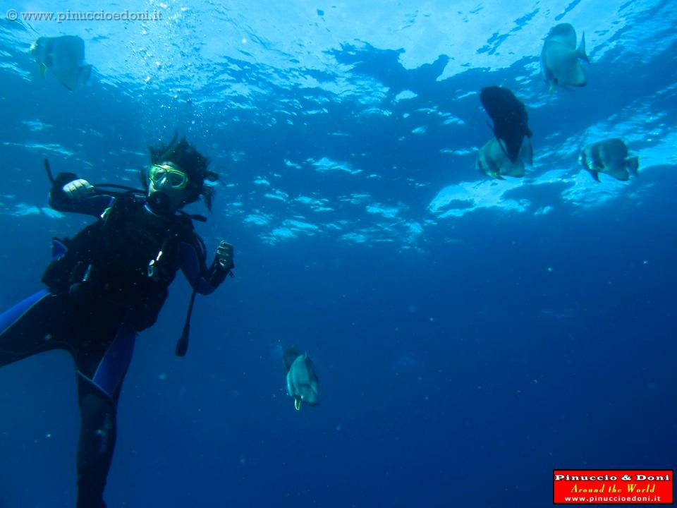 SEYCHELLES - 214 - Aride, Booby Rock Island.jpg